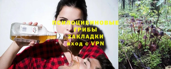 соль ск Михайловка