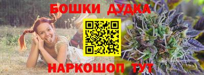 дмт Гатчина