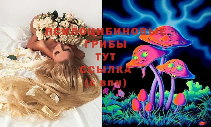 Галлюциногенные грибы Magic Shrooms  Кирово-Чепецк 