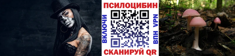 закладки  Кирово-Чепецк  Галлюциногенные грибы мухоморы 