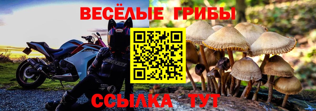 Псилоцибиновые грибы GOLDEN TEACHER Кирово-Чепецк